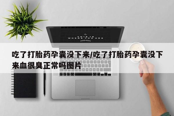 药流药在线购买吃了打胎药孕囊没下来/吃了打胎药孕囊没下来血很臭正常吗图片